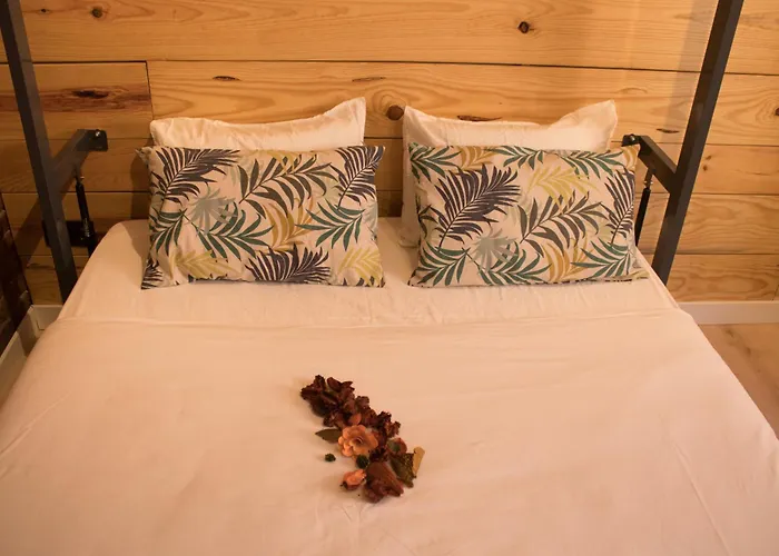 Hostal Erasmus By Gaiarooms